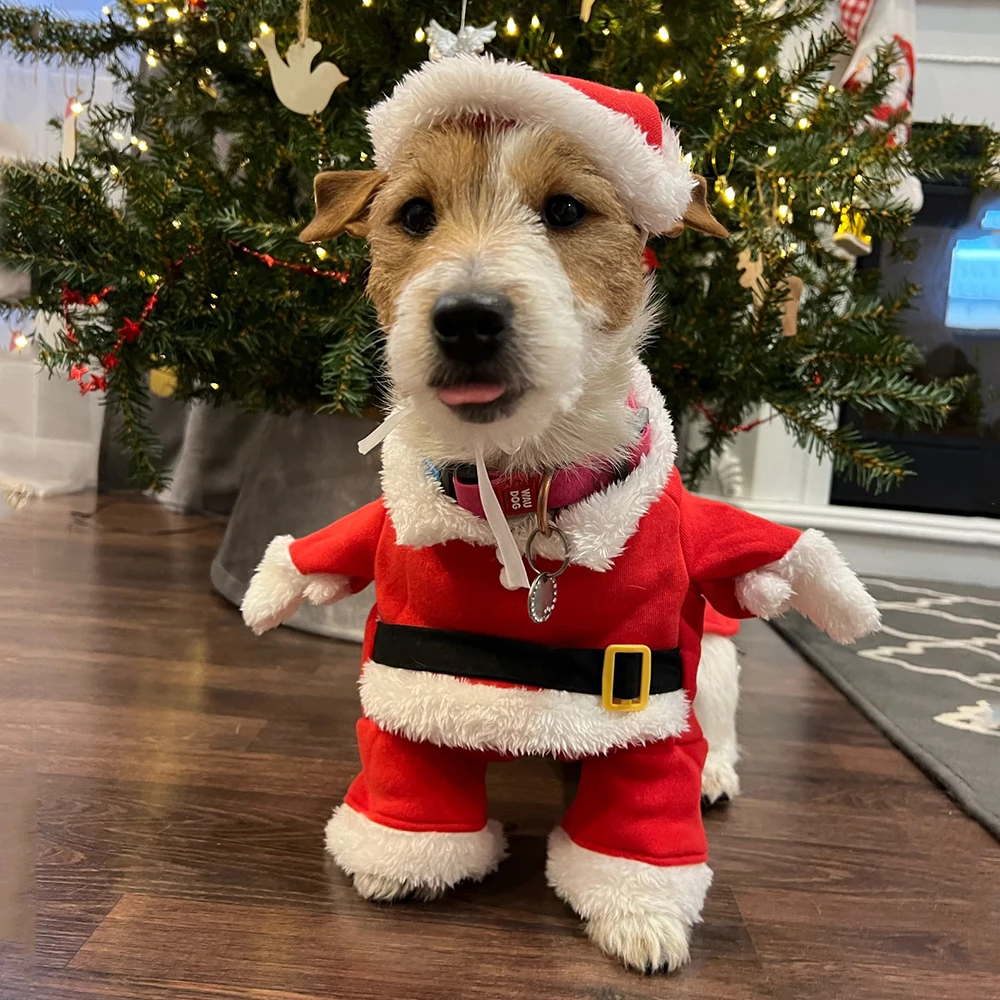 Christmas Clothes For Dogs Cat - đánh giá và giá Winter Clothing Dress Up